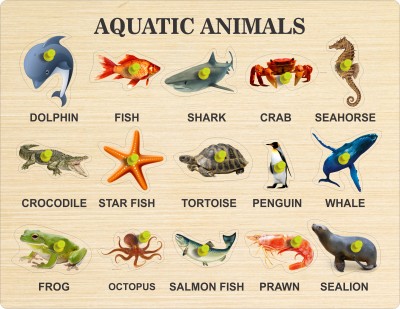 MECDOIT INTERNATIONAL Wooden Puzzle of Aquatic Animals Name with Image With Laser cutting(15 Pieces)