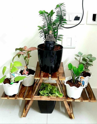 alpha stock planter 2 Plant Container Set(Wood)