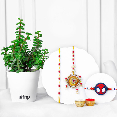 FNP Thread GIFTSFNP29434_RK24 Mauli Thread Live Plant  Set(4)