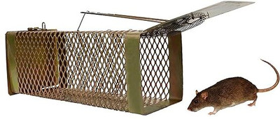 udayog Rat cage |Iron rat trap|Rat/Mouse Catcher|Rat Pinjra |Chuha Daani|PACK OF 1 Live Trap