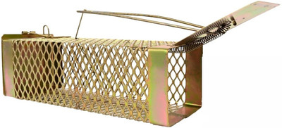 Shambu Rat Trap Mouse Catcher Golden Iron Body Barfi Design Small Size Trap Rat Rodent Live Trap