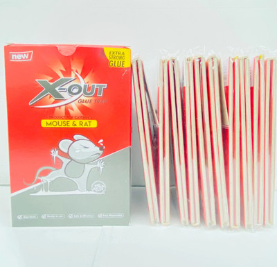 X-Out Glue Trap - Small for House, Warehouse, Office & Garden | Indoor & Outdoor Snap Trap