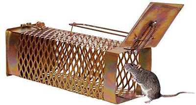 udayog RAT pinjra,Rat/Mouse/Rodent control Small Iron Trap/Catcher Cage( pack of 1) Live Trap