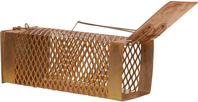 udayog Rat Trap - Rat/Mouse/Rodent Small Iron Trap/Catcher Cage Rustic Copper Live Trap