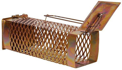 Chipku Rat Rodent Mouse Cage Trap for Home chuha chuhe ka pinjra ( small size) Live Trap