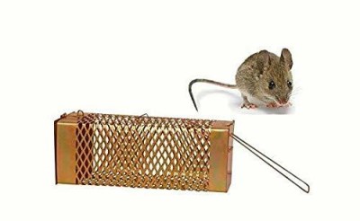 Shafz wood gallery Small Rat Trap Cage 20 X 8.5 X 8 cm Iron Gold Color Criss Cross Design Live Trap