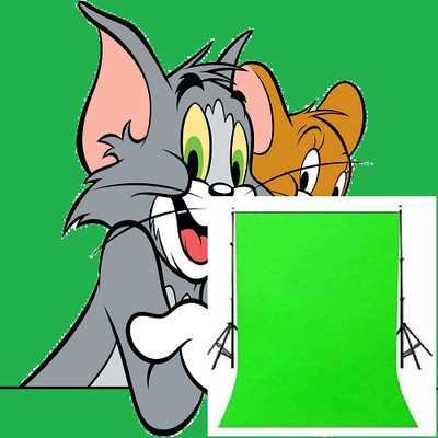 Kate 8X4 GREEN SCREEN FOR STUDIO BACKGROUND Reflector