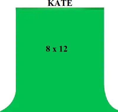 Kate 8x12 green background home decoration Reflector