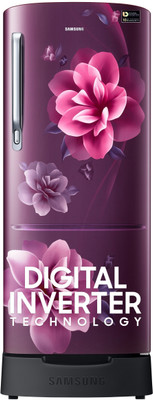 Samsung 183 L Direct Cool Single Door 4 Star Refrigerator with Base Drawer with Digital Inverter(Camellia Purple, RR20C1824CR/HL)