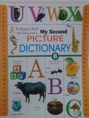 Rohan My Second Picture Dictionary Book-B(Perfect Paperback, Rohan)