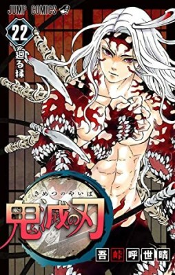 Demon Slayer: Kimetsu No Yaiba, Vol. 22(Paperback, Koyoharu Gotouge)