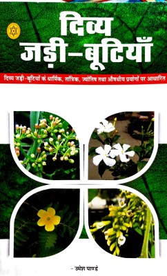 Divya Jadi Buti Rahasya(Hardcover, Hindi, Umesh Pandey)