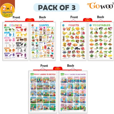 Gift Pack Of 3| 2 IN 1 COLOURS AND SHAPES, 2 IN 1 FRUITS AND VEGETABLES2 IN 1 BENNY LEARNS TO RECYCLE AND BENNY TEACHES TO SAVE WATER| Wall Posters For Room Decor High Quality Paper Print With Hard Lamination (20 Inch X 30 Inch, Rolled)(Hardcover, Sahil)