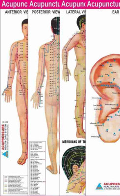 Acupressure Point Charts -Set Of 4 ( Paperback,Dr. Dinesh Choudhary )(Paperback, Dr. Dinesh Choudhary)