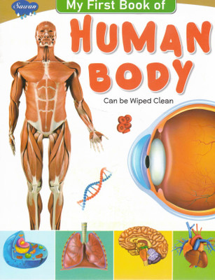 My First Book Of Human Body | Sawan | Can Be Wiped Clean(Paperback, Generic)