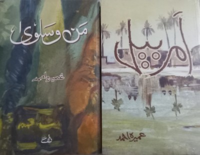 Amar Bail & Manna O Salwa - 2 Books(Paperback, Urdu, Umera Ahmed)