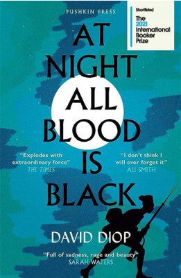 At Night All Blood Is Black(Paperback, David Diop)