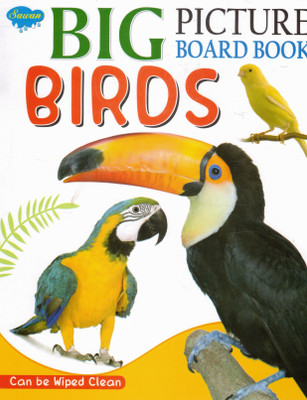 Big Picture Board Book: Birds | Sawan Wipe-Clean Bird Identification Book For Kids(Hardcover, Generic)