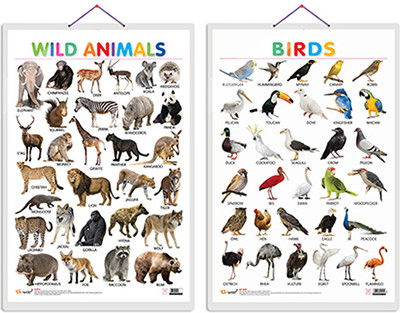 Gift Pack Of 2 Wild Animals And Birds Charts | Wall Posters For Room Decor High Quality Paper Print With Hard Lamination (20 Inch X 30 Inch, Rolled)(Hardcover, Sahil)