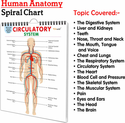 All In One Human Anatomy Chart :- Visual Learning Human Body Chart, Full Body Organs Chart, Child Education Anatomy Chart, Basic Anatomy Chart For Kids, 16 In One Spiral Chart(Spiral-bound, GOWOO)