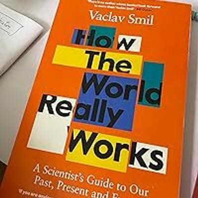 How The World Really Works: A Scientist’s Guide To Our Past, Present And Future(Paperback, Vaclav Smil)