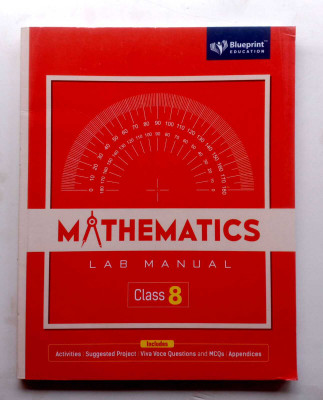 Mathematics Lab Manual Class-8(Paperback, ALOK AIRAN)