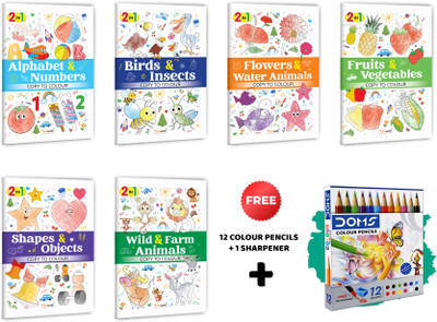 2 In 1 Copy To Colour - Alphabet & Numbers, Birds & Insects And More With 12 Colour Pencils + 1 Sharpener :- Multi-Theme Kids Activity Set, Colourful Entertainment Pack | Combo Of 6 Books(Paperback, GOWOO)