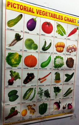 A Beautiful Pictorial WALL CHART(Calendar) Of Vegetables For Kids Learning ,Lamimnated,Multicolor And Showing 30 Pictures Of Green And Healthy Vegetables Both In English And Hindi(Paperback, APA PUBLICATIONS) A Beautiful Pictorial WALL CHART(Calendar) Of Vegetables For Kids Learning ,Lamimnated,Multicolor And Showing 30 Pictures Of Green And Healthy Vegetables Both In English And Hindi(Paperback, APA PUBLICATIONS)