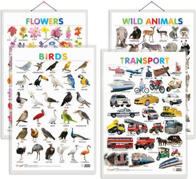 GO WOO Pack of 4 Wild Animals, Birds, Flowers and Transport Charts(Black)