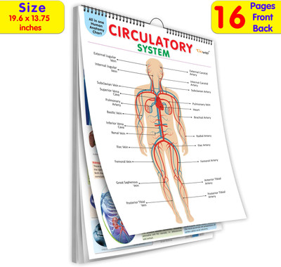 All In One Human Anatomy Chart :- Interactive Anatomy Chart For Kids, Child Education Anatomy Chart, 16 In One Spiral Chart, Educational Chart Of Body Systems(Spiral-bound, GOWOO)