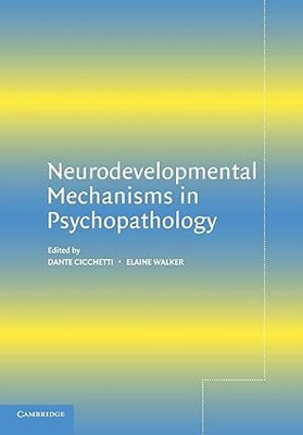 Neurodevelopmental Mechanisms In Psychopathology(Paperback, Dante Cicchetti)