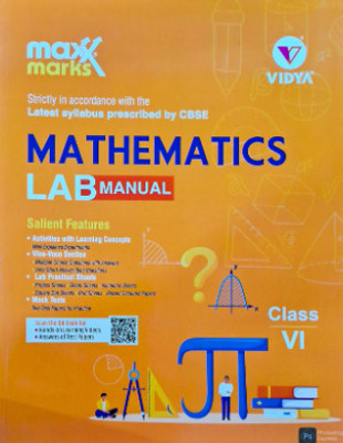 Mathematics Lab Manual For Class - 8(Paperback, Vidya)