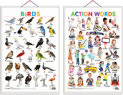 Gift Pack Of 2 Birds And Action Words Charts | Wall Posters For Room Decor High Quality Paper Print With Hard Lamination (20 Inch X 30 Inch, Rolled)(Hardcover, Sahil)
