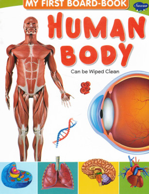 My First Board-Book: Human Body | Sawan Wipe-Clean Anatomy Learning Book For Kids(Hardcover, Generic)