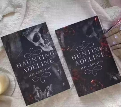 Cat And Mouse Duet (2 Book Series)(Paperback, Hunting Adelin)