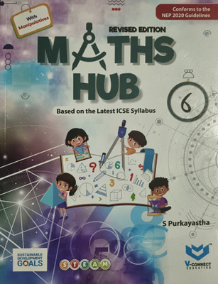 Maths Hub Based On The Latest Icse Syllabus Class 6(Paperback, Anju loomba)