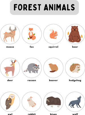 MY First All In One Words Books/learning Book For Kids/words Book For Kids(spiral, awesome book)