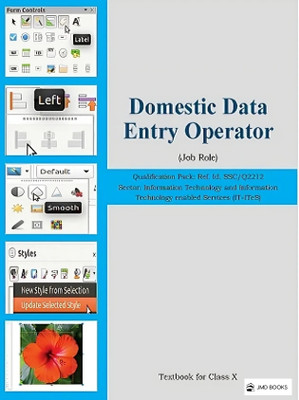 Domestic Data Entry Operation Class 10th(Paperback, jmd books)
