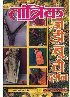 New Tantrik Jadi Booti Paper Back In Hindi Book(Paper Book, Hindi, LAXMI PRAKASHAN)