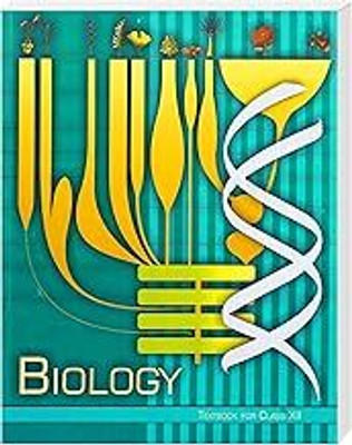 Original NCERT Biology Textbook For Class 12 | Latest 2025–26 Edition | CBSE Curriculum | Science(Paperback, National Council of Educational Research and Training (NCERT))