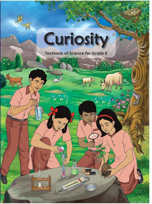 NCERT CLASS 8,Textbook Of Science Curiosity-877 New Syllabus I Latest Edition 2025-2026(Paperback, NCERT)
