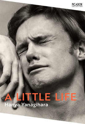 A Little Life Book(Paperback, StaYouth Always)