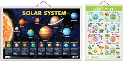 Gift Pack Of 2 Solar System And Life Cycle Charts | Wall Posters For Room Decor High Quality Paper Print With Hard Lamination (20 Inch X 30 Inch, Rolled)(Hardcover, Sahil)