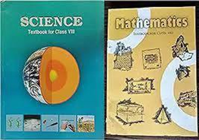Ncert Math & Science 2 Books Set Pake Class 8(Paperback, ncert)