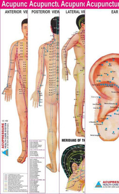 Acupuncture Points Charts - Set Of 4(Paperback, Dr. Dinesh Choudhary)