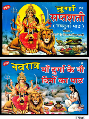 Durga Saptashati Navdurga Path / Navratra Maa Durga Ke 9 Dino Ka Path(Hardcover, Hindi, Shivdatta Mishra Shastri)