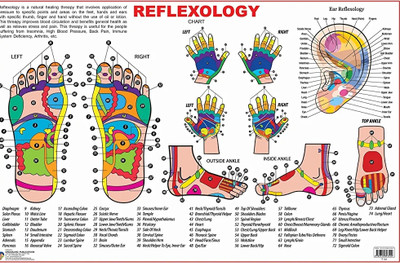 Acupressure Reflexology Chart (Paper Chart)(Paperback, Dr. Dinesh Choudhary)