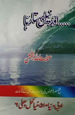 Aur Neel Behta Raha Urdu Novel 2 Vol Set Victories Of The Muslims In Egypt And Syria(Hardcover Perfect Binding, Urdu, Inayatullah Altamash)