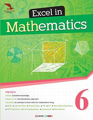 Excel In Mathematics Class 6(Paperback, NITIKA CHAWLA)