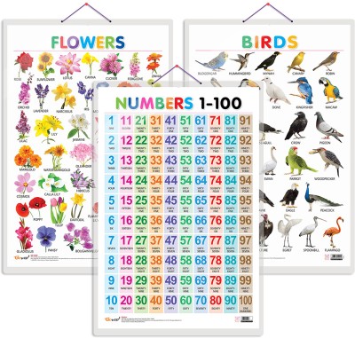 Gift Pack Of 3 Birds, Flowers And Numbers 1-100 Charts | Wall Posters For Room Decor High Quality Paper Print With Hard Lamination (20 Inch X 30 Inch, Rolled)(Hardcover, Sahil)